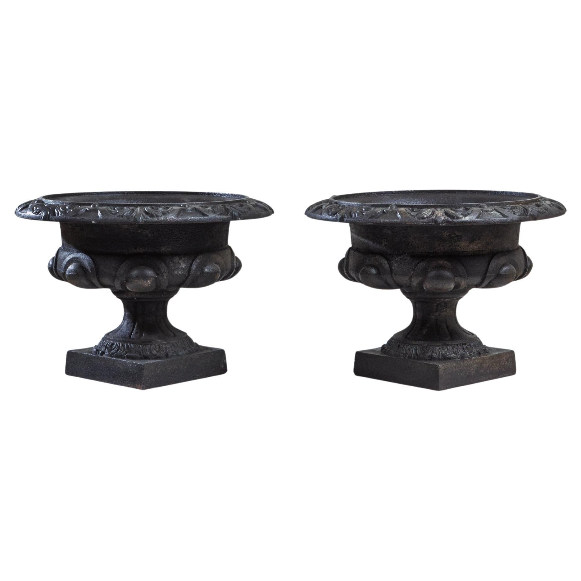 Pair of 19th Century French Cast Iron Planters
