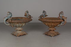 Pair of 19th Century French Cast Iron Urns