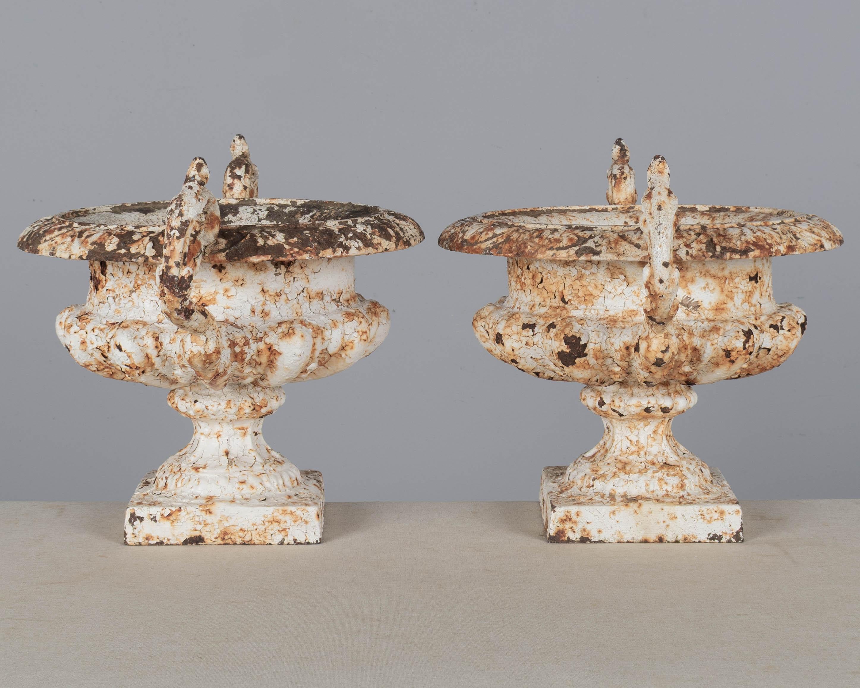 A pair of 19th century French cast iron garden urn planters with pedestal base and scrolled handles. Weathered white painted rusty patina. Circa 1860-1880.
Dimension: 18