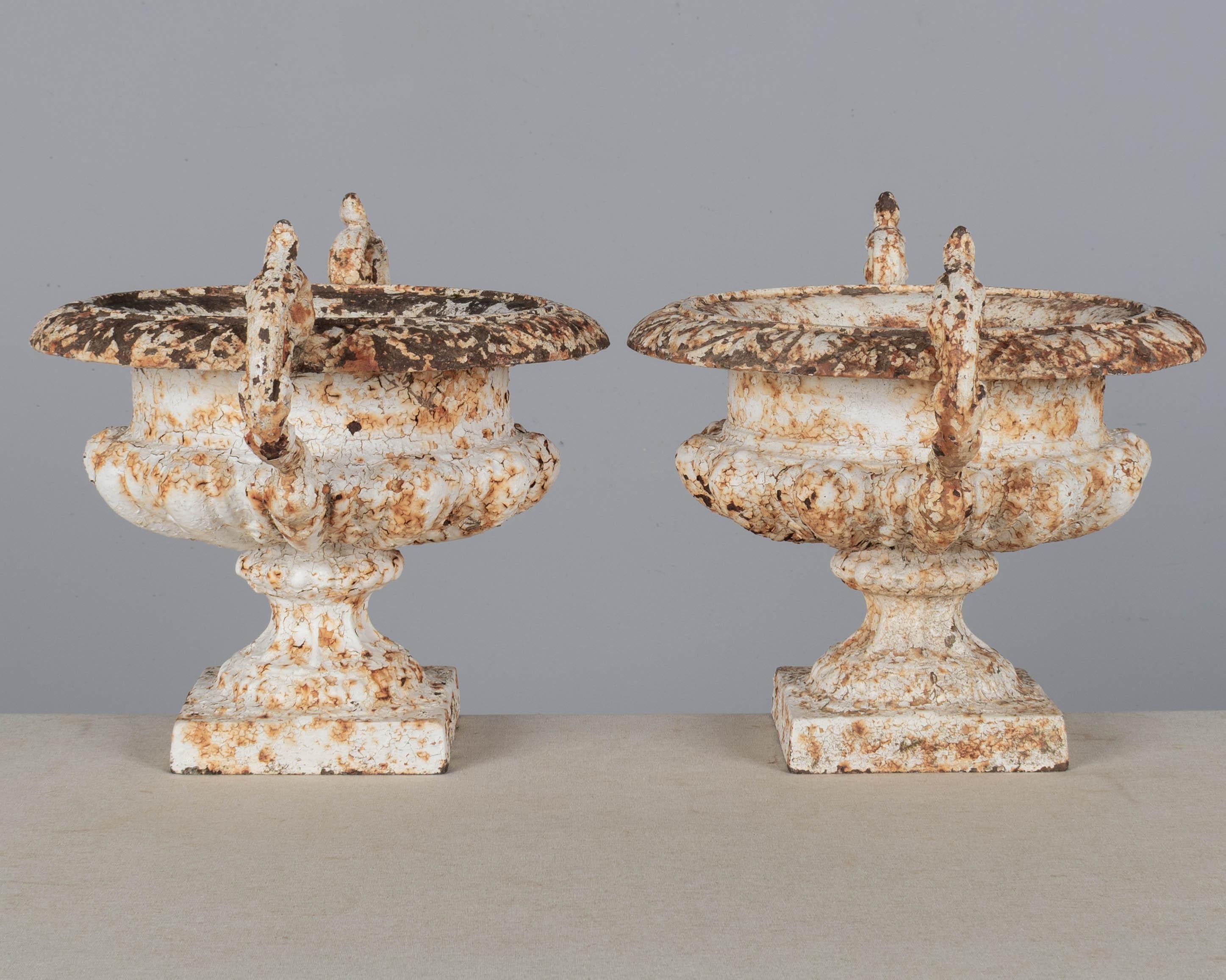 Pair of 19th Century French Cast Iron Urns In Good Condition For Sale In Winter Park, FL