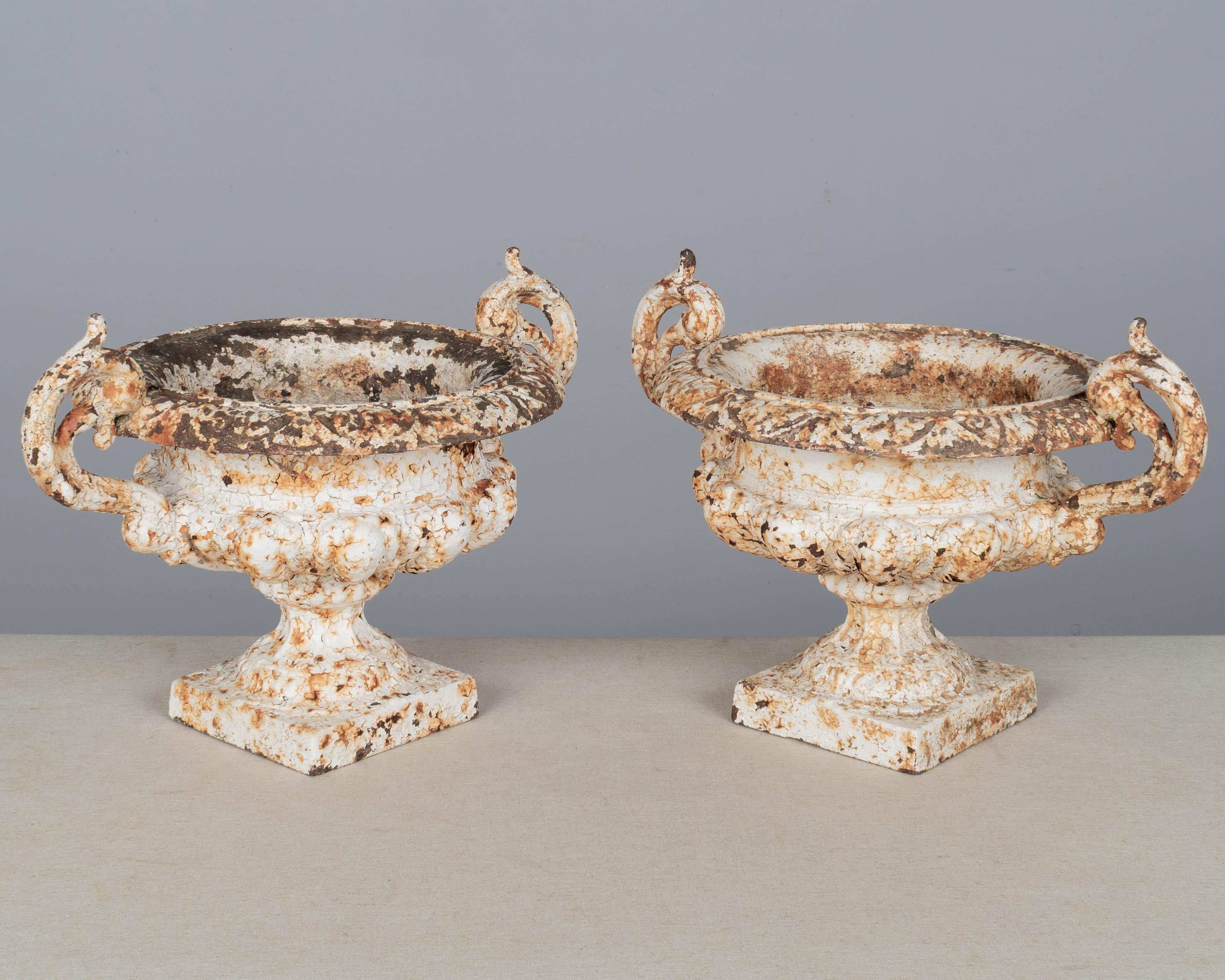 Paint Pair of 19th Century French Cast Iron Urns For Sale