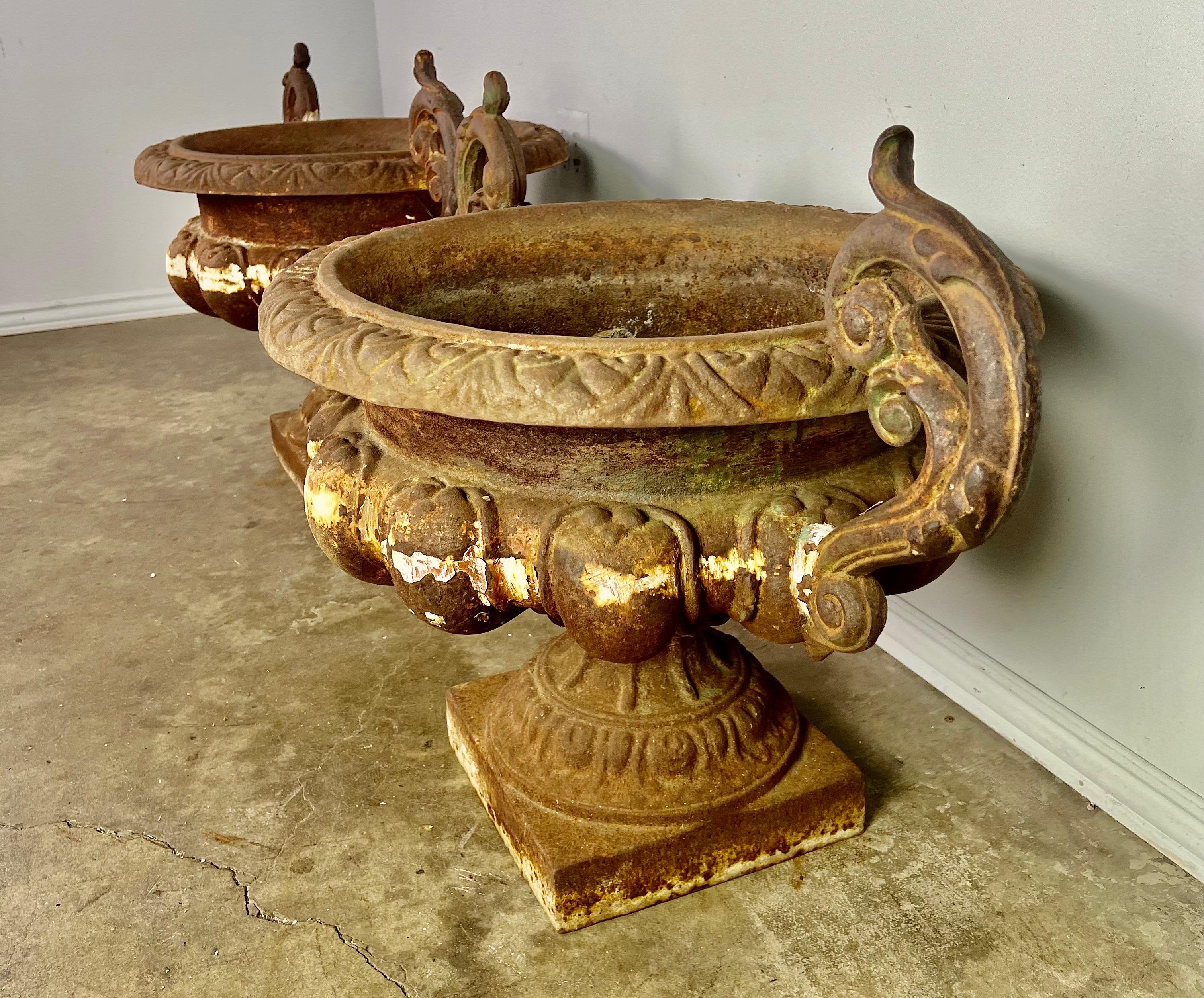 Pair of 19th Century French Cast Iron Urns For Sale 3