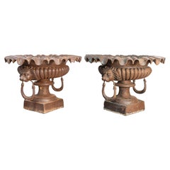 Antique Pair of 19th Century French Cast Iron Urns