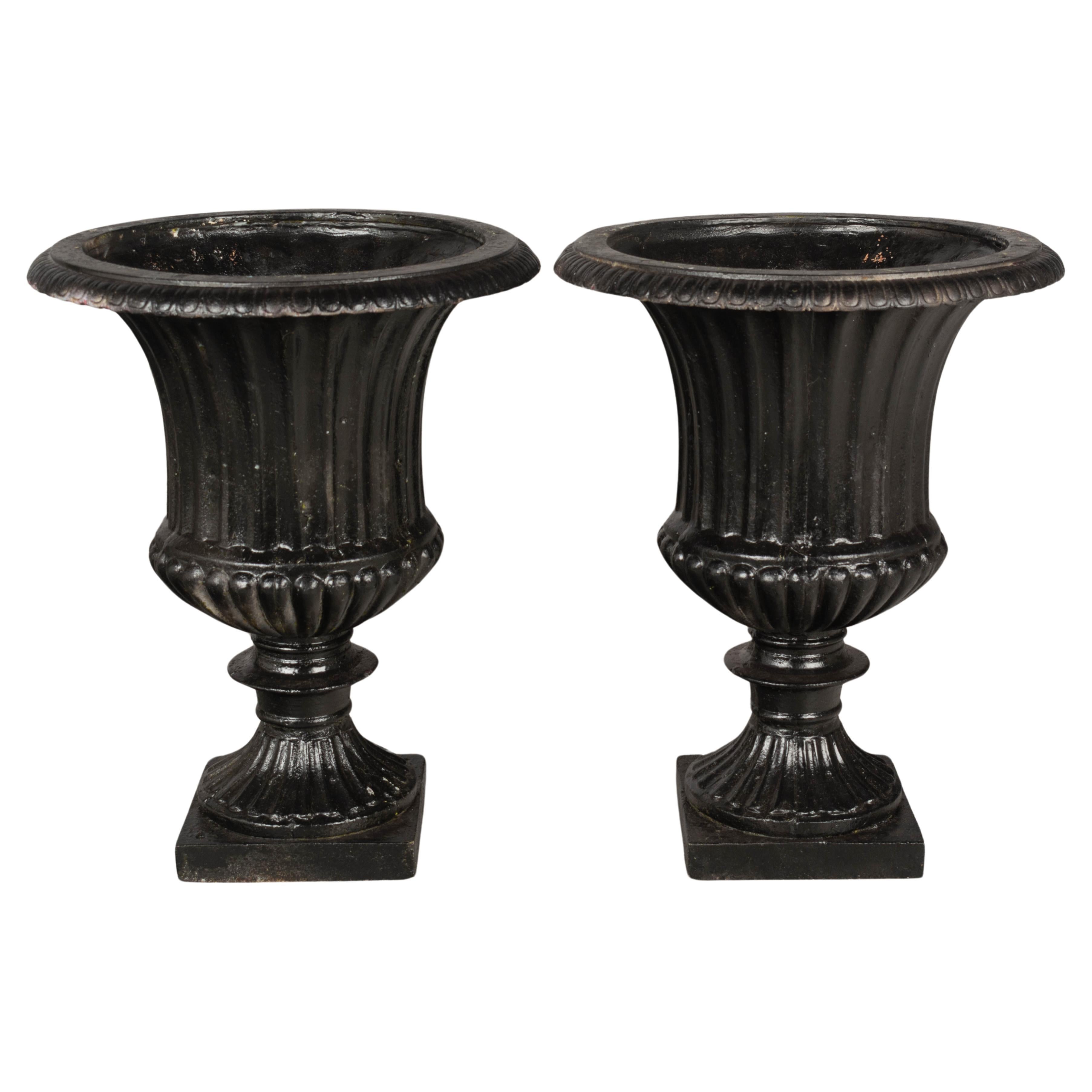 Pair of 19th Century French Cast Iron Urns For Sale