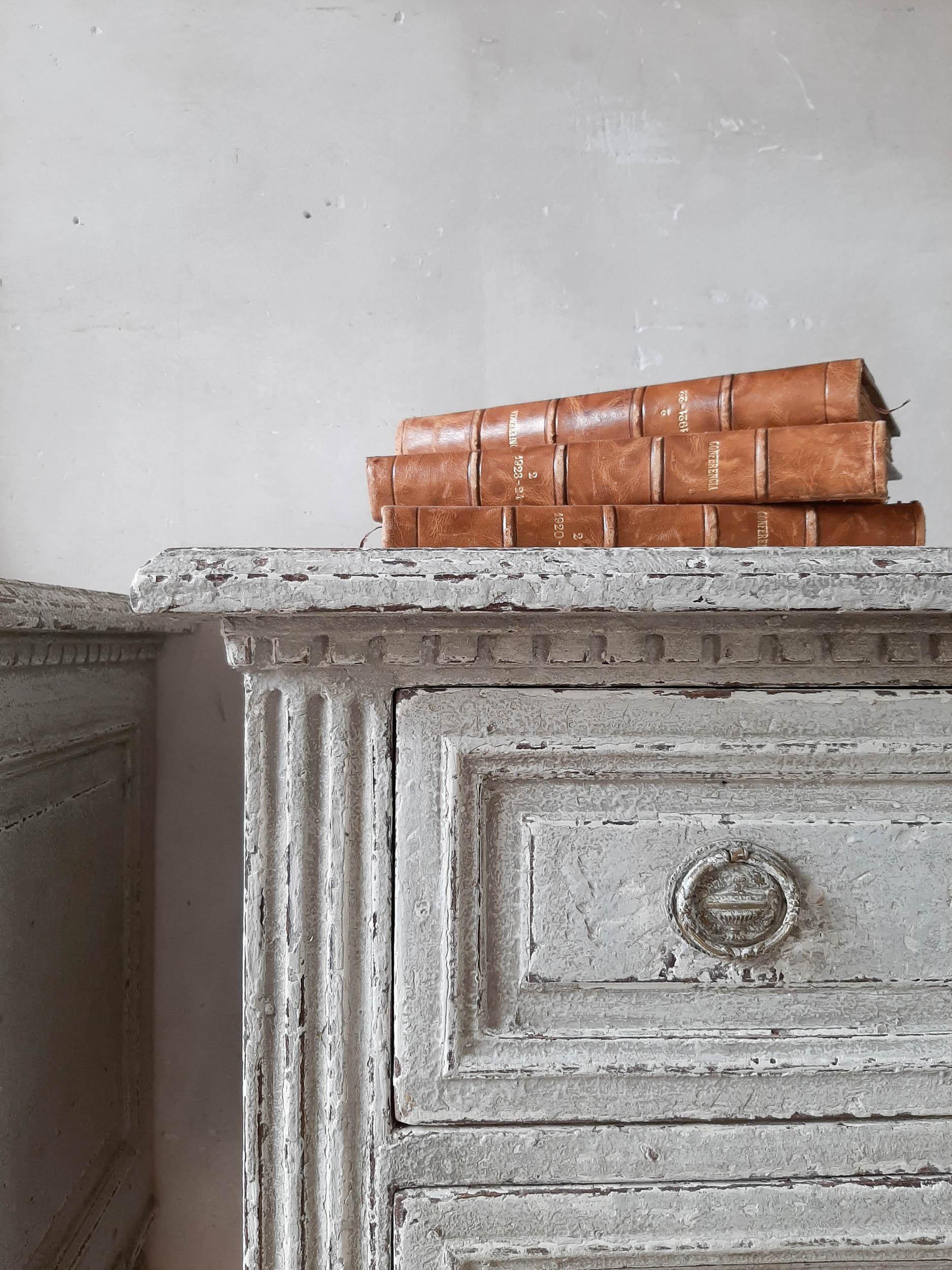 Pair of 19th Century French Commodes of Grey Patinated Wood 2