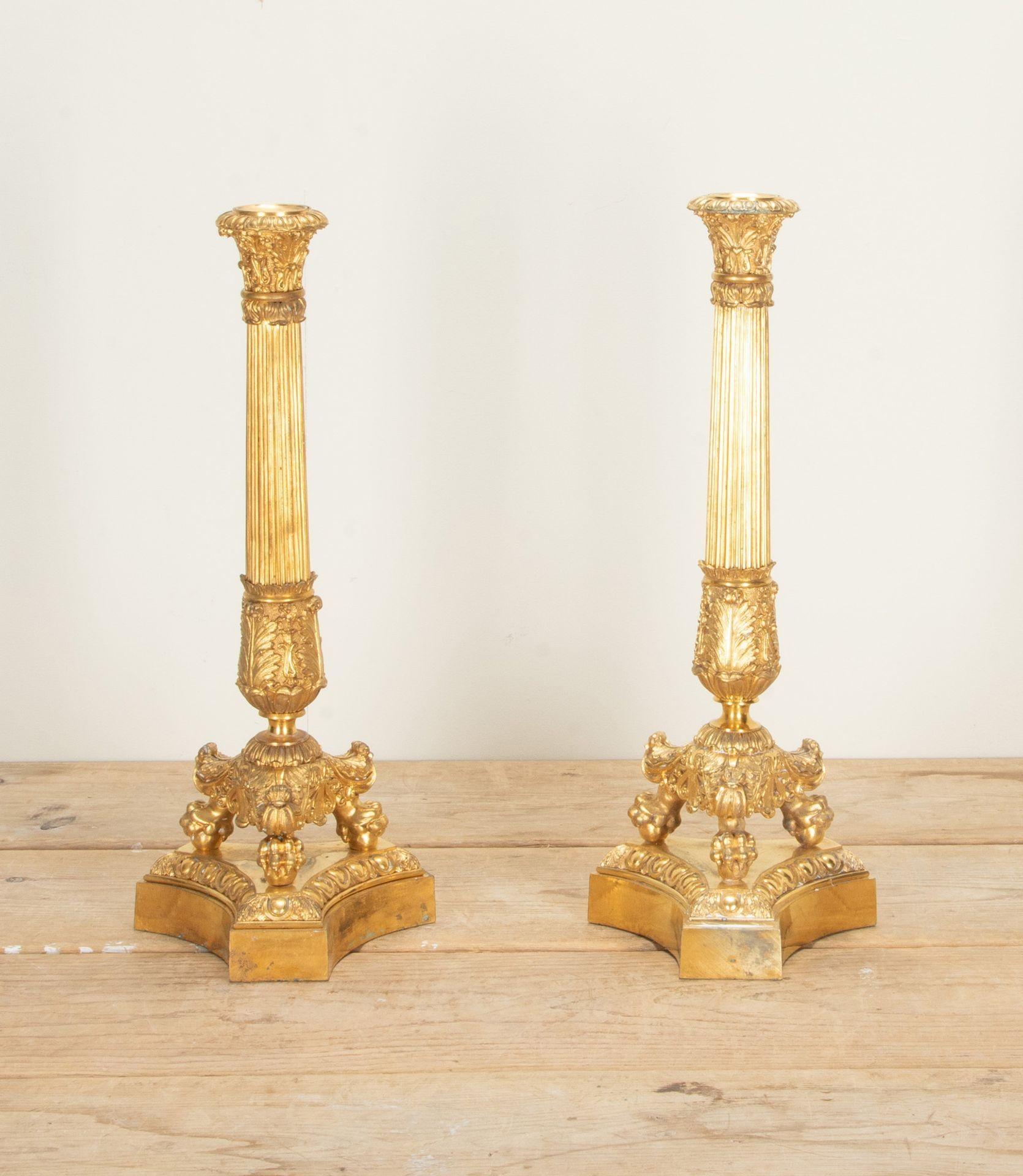 Pair of 19th Century French Corinthian column gilt bronze candlesticks.
With tripod-shaped feet on paws and acanthus sheathed and fluted pillars.
Circa 1860.