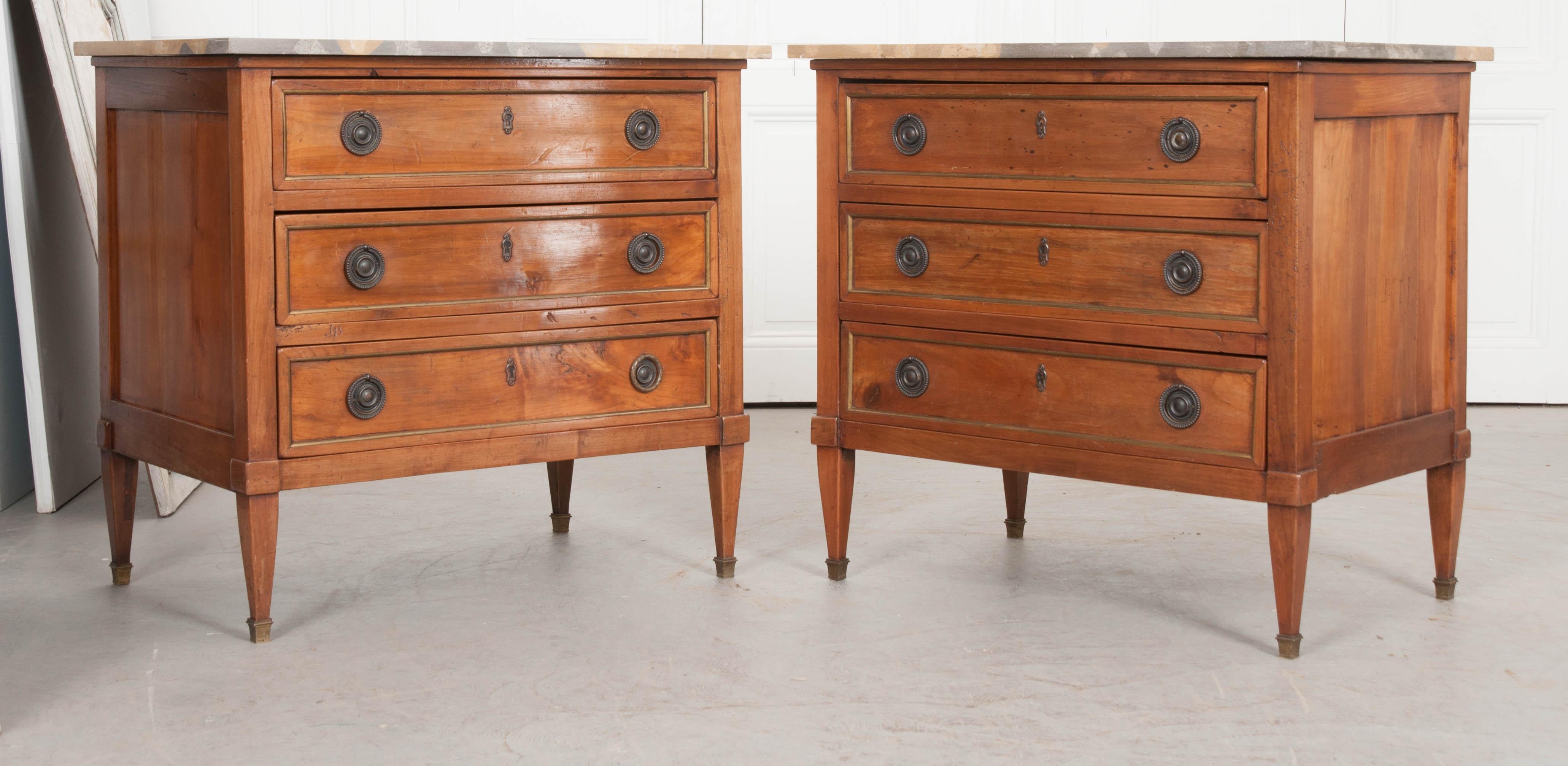Pair of 19th Century French Directoire Commodes 3