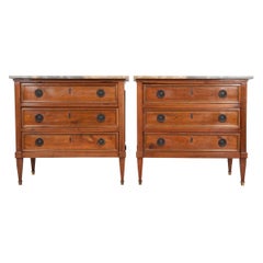 Pair of 19th Century French Directoire Commodes
