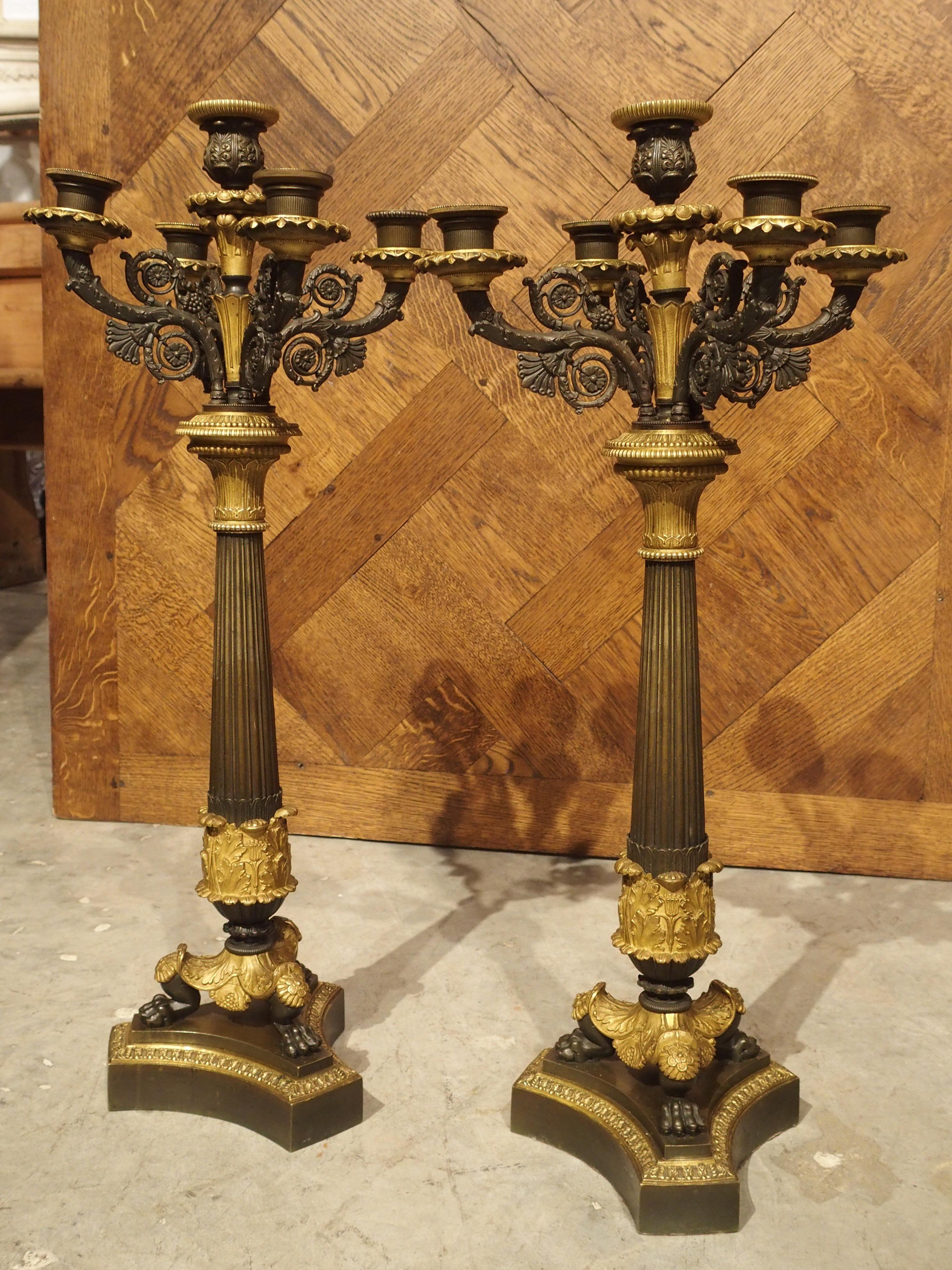 Paire de chandeliers Empire français du 19ème siècle avec pieds tripartites à pattes de lion en vente 12