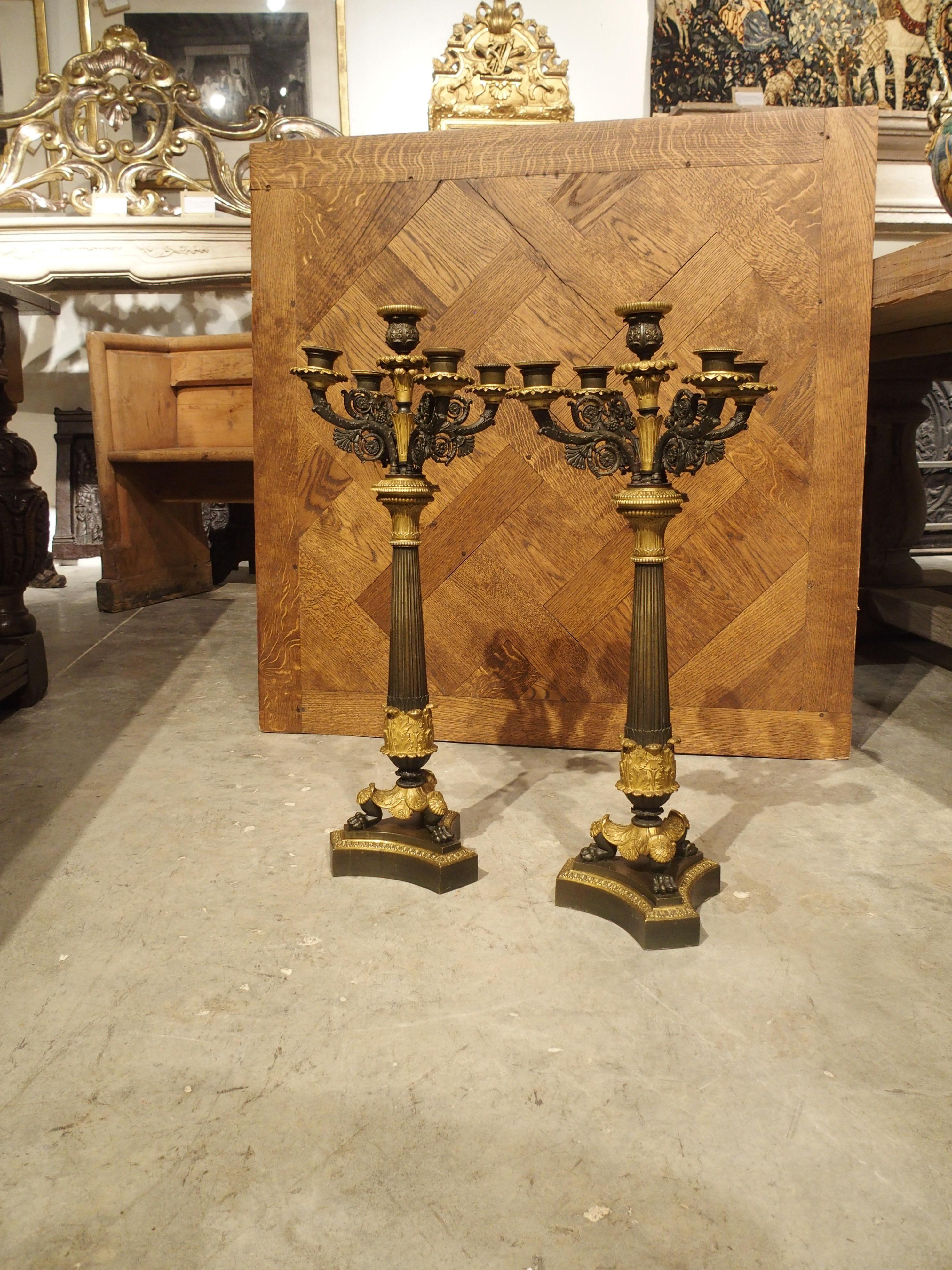 Bronze Pair of 19th Century French Empire Candelabra with Tripartite Lion Paw Feet For Sale