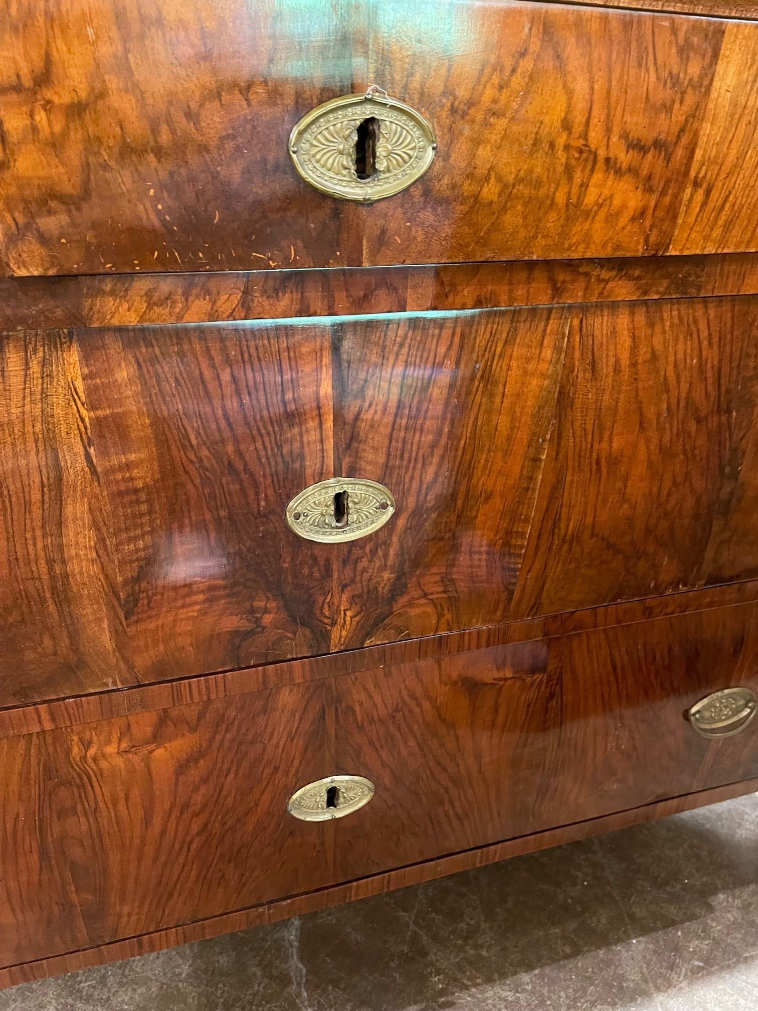 Pair of 19th Century French Empire Exotic Black Walnut Commodes 5