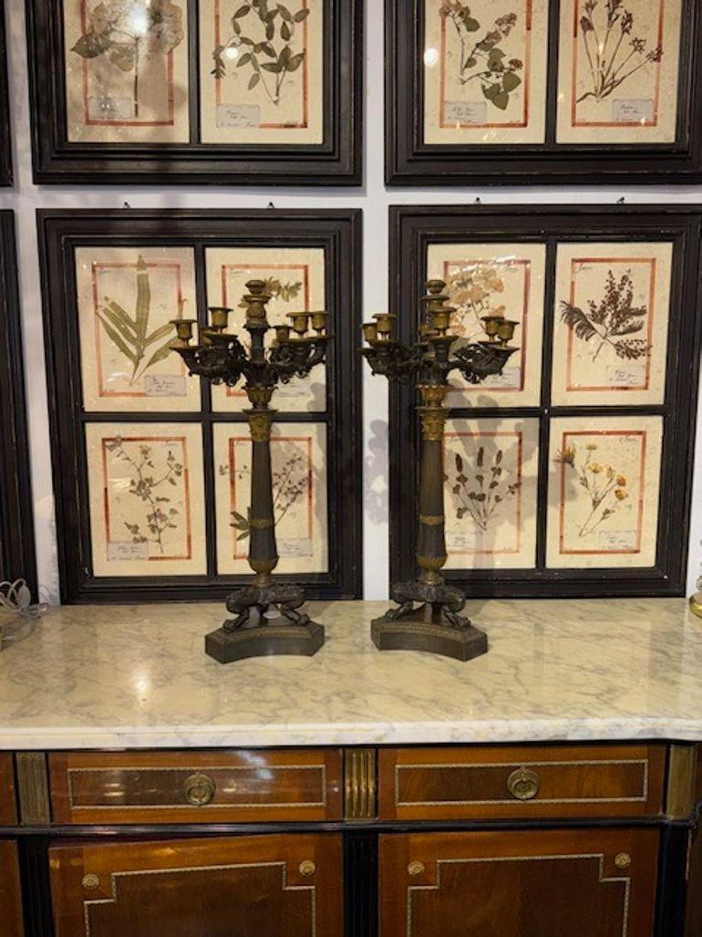 Si tratta di una coppia di candelabri a 7 luci in stile Impero francese del XIX secolo, caratterizzati da un design lussuoso tipico del periodo dell'Impero francese. Questi oggetti decorativi da collezione trasudano eleganza e raffinatezza, perfetti