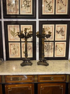 Pair of 19th Century French Empire Style Candelabras with 7 Lights