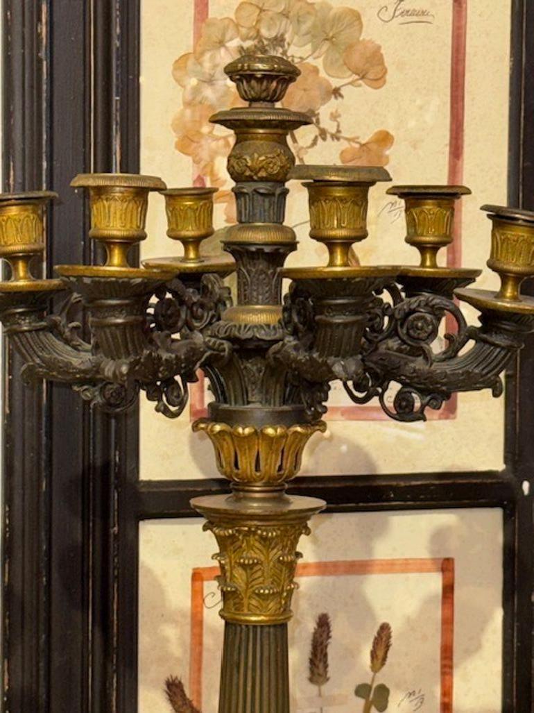 Francese Coppia di candelabri in stile impero francese del XIX secolo con 7 luci in vendita