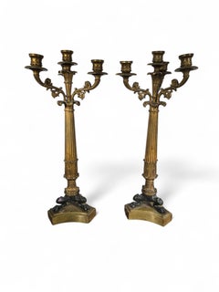 Paire de candélabres en bronze doré finement ciselé du 19e siècle français