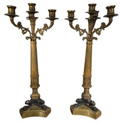 Pair of 19th Century French Finely Chased Gilt Bronze Candelabra