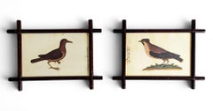 Paar französische Volkskunstrahmen aus dem 19. Jahrhundert mit Vogelfaksimiles aus dem Codex Pomar