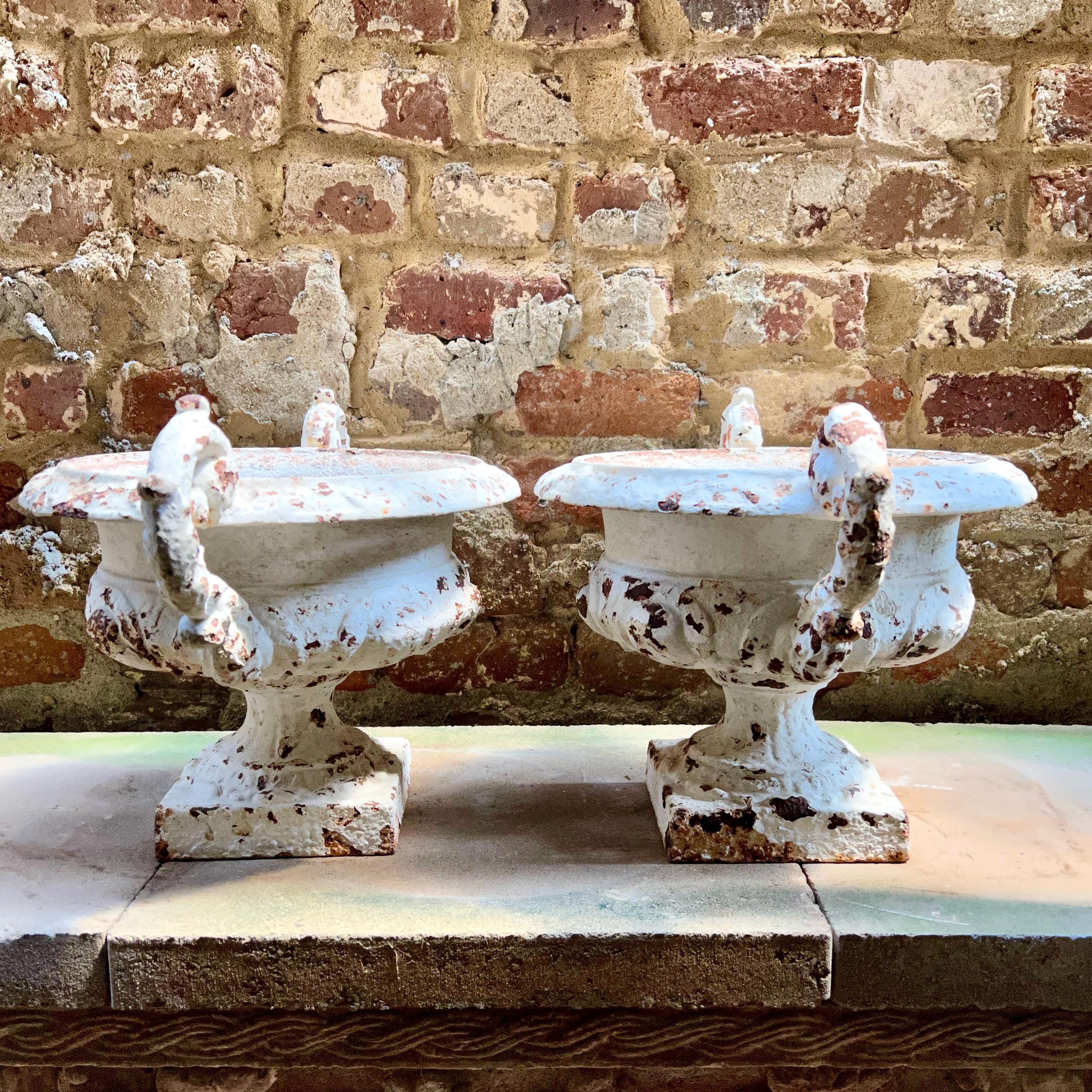 Pair of 19th Century French Garden Planters In Good Condition For Sale In Charleston, SC