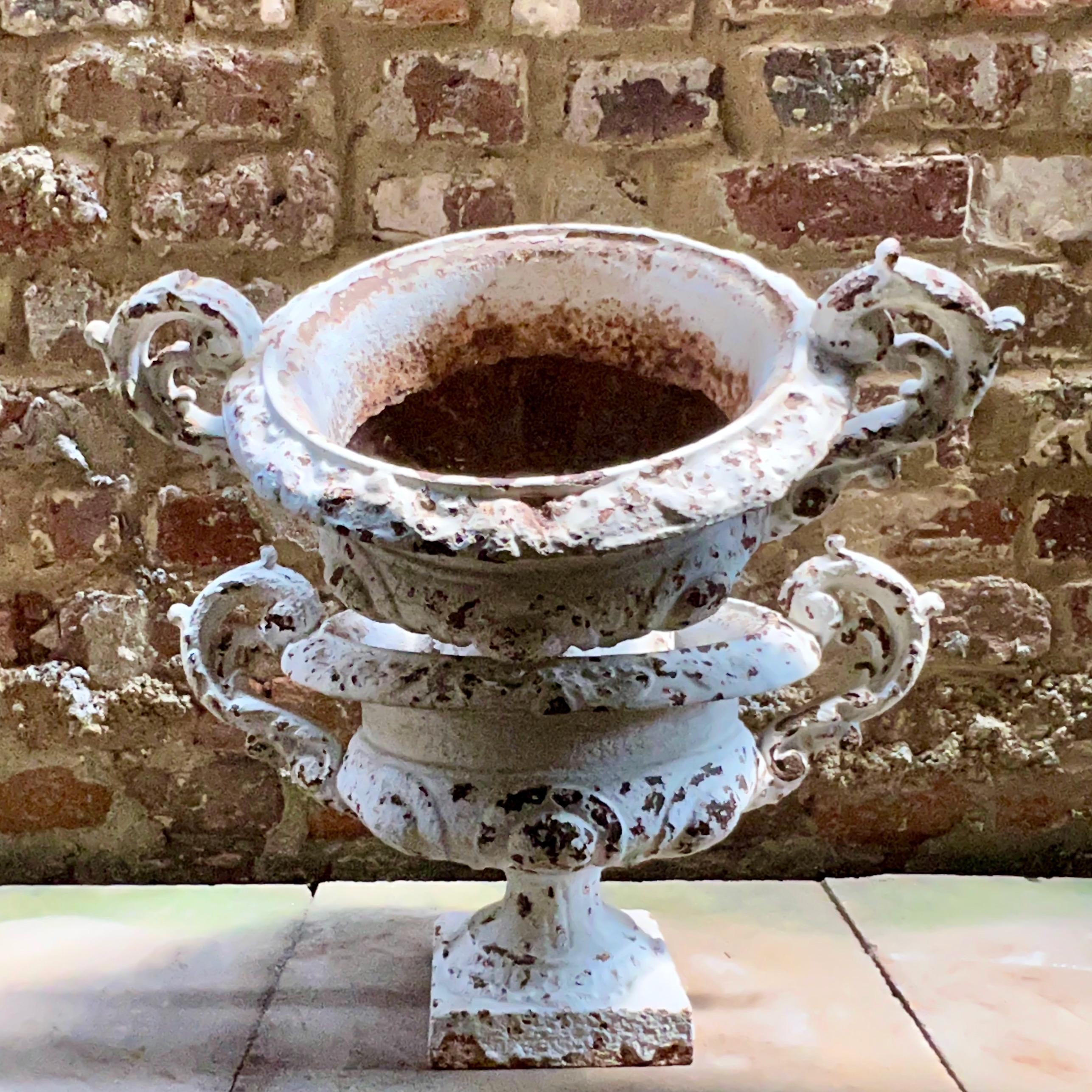 Pair of 19th Century French Garden Planters For Sale at 1stDibs