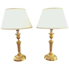 Pair of 19th Century French Gilt Bronze Circular Table Lamps 