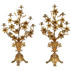 Pair of 19th Century French Gilt-Metal Candelabra