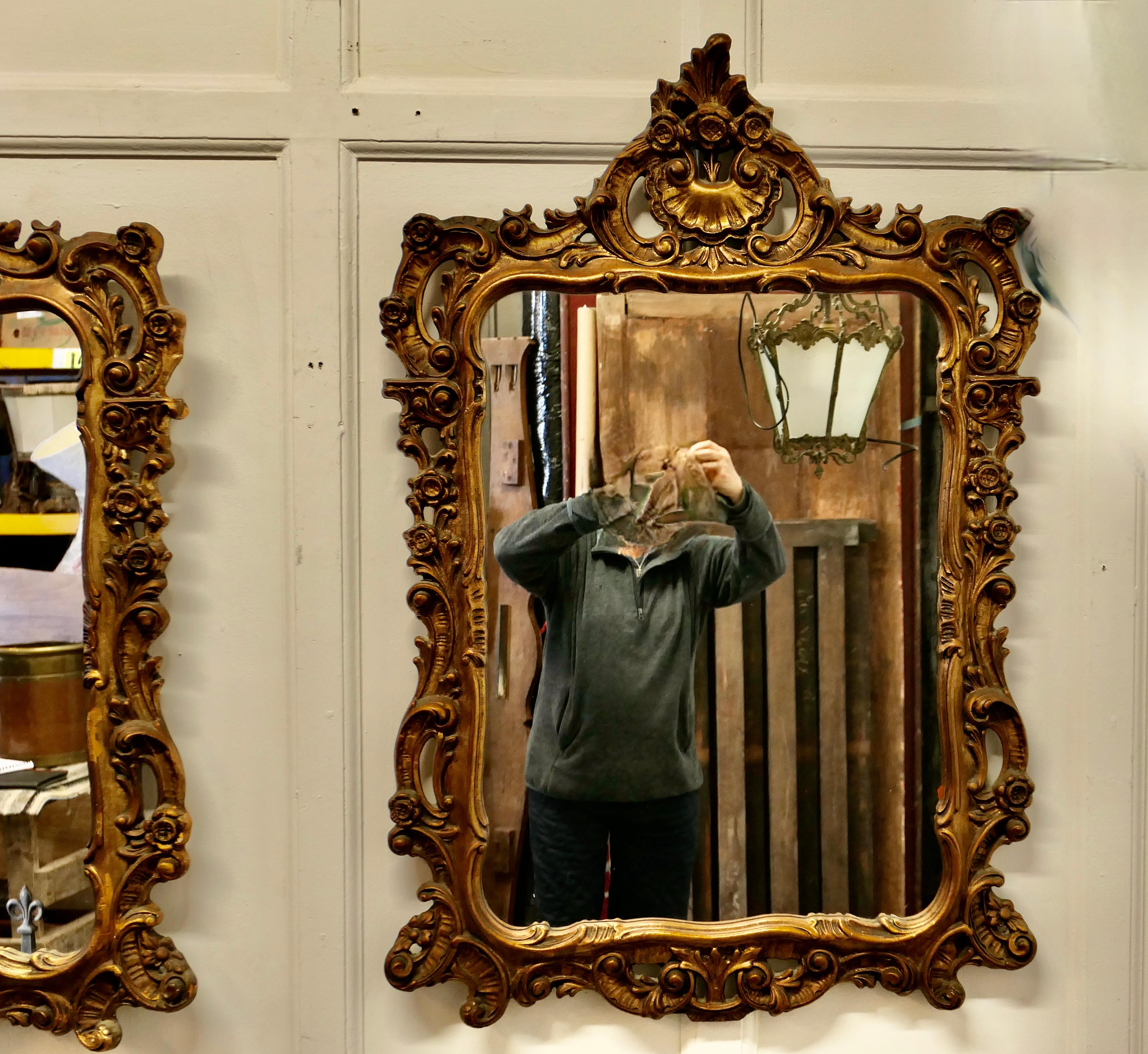Giltwood Pair of 19th Century French Gilt Mirrors