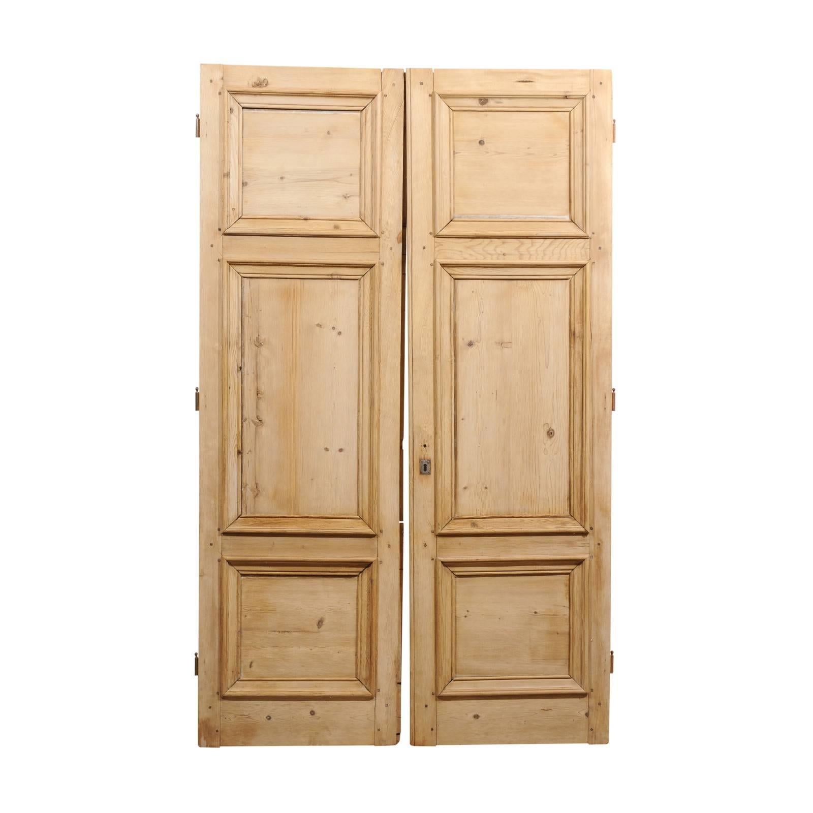Pair of 19th Century French Haussmannian Wooden Doors with Molded Panels