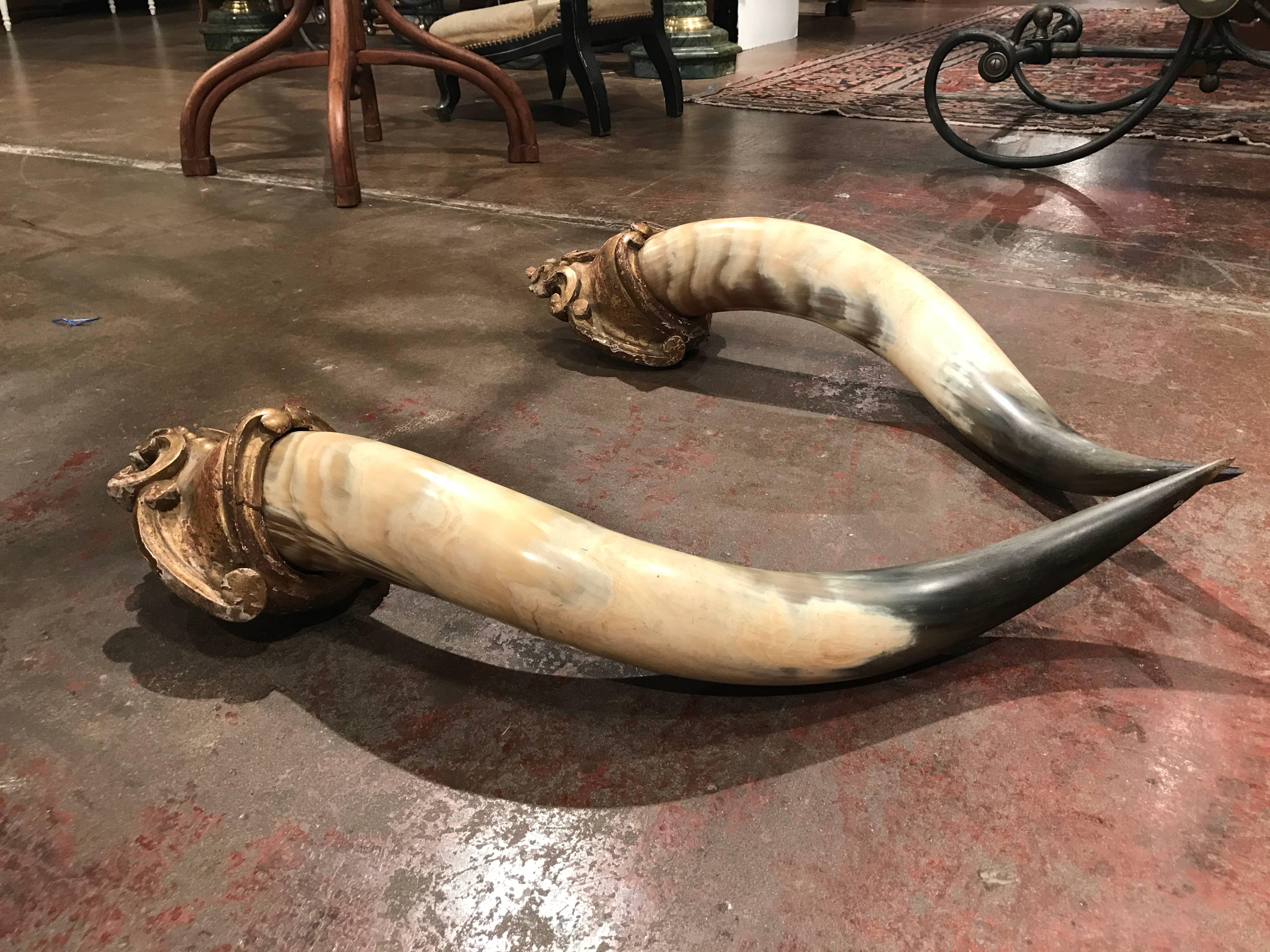 Hand-Carved Pair of 19th Century French Horns Mounted on Carved Giltwood Plaques