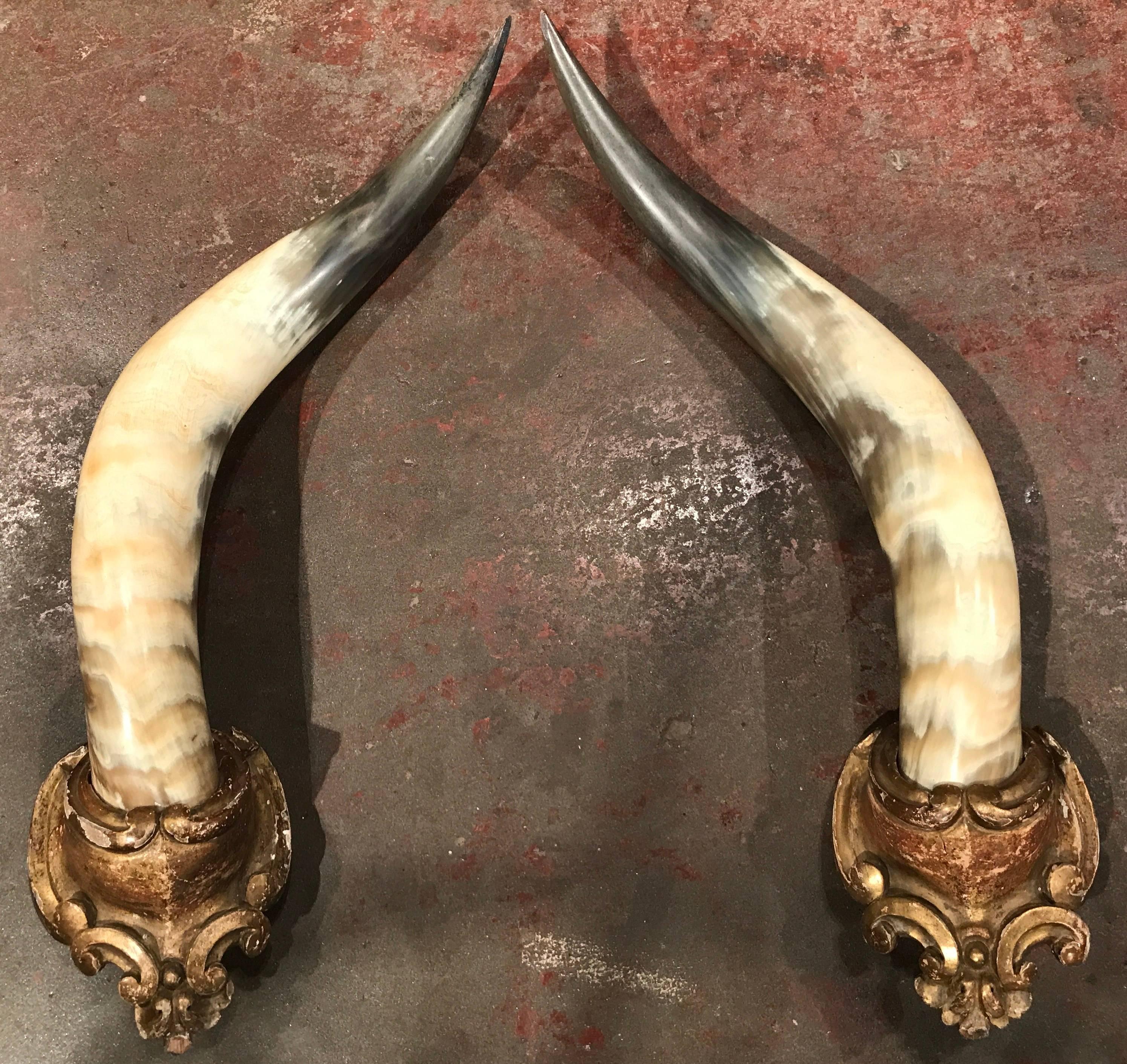Pair of 19th Century French Horns Mounted on Carved Giltwood Plaques In Excellent Condition In Dallas, TX