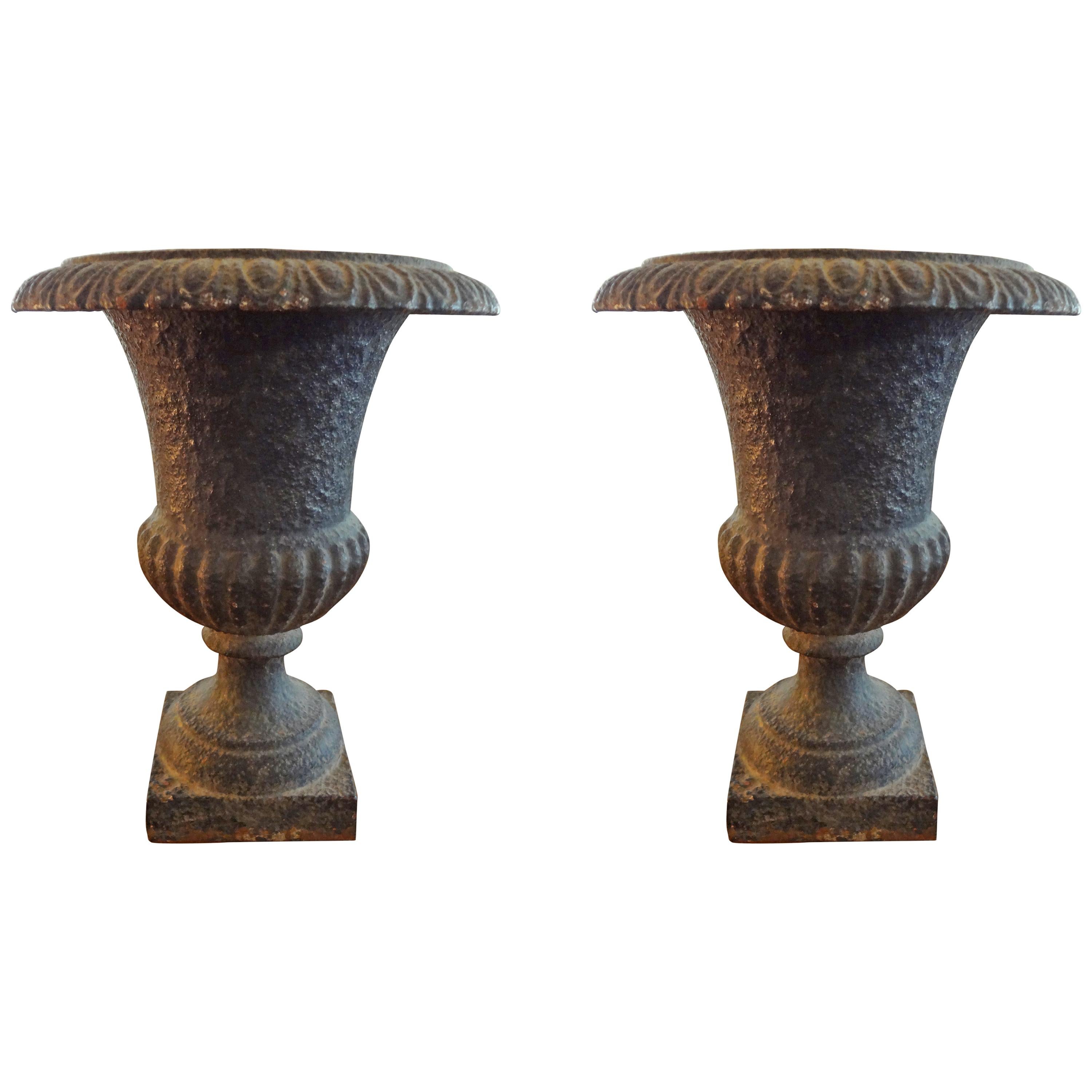 Pair of 19th Century French Iron Campana Urns