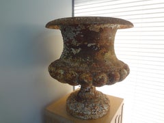 Pair Of 19th Century French Iron Garden Urns