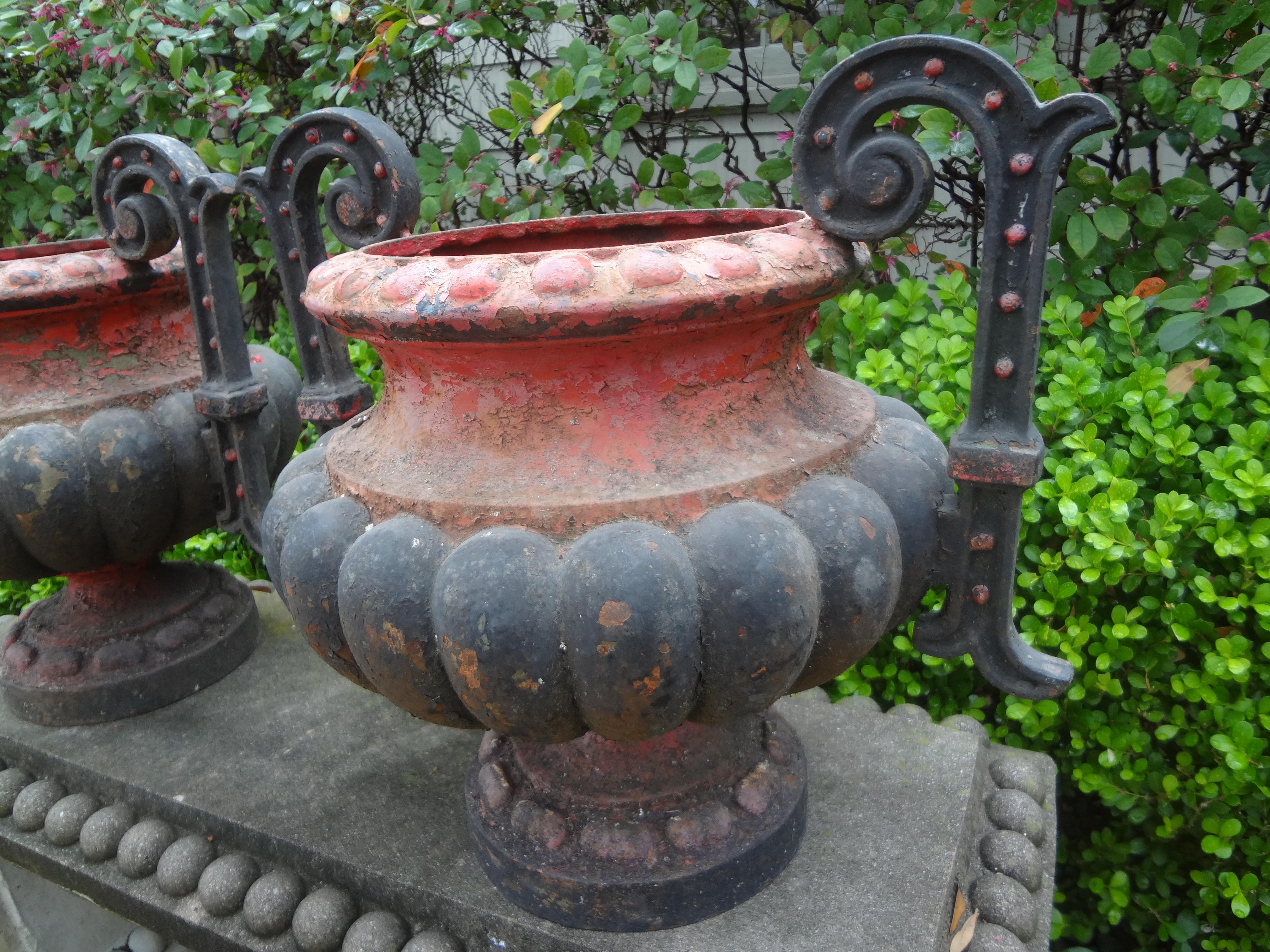 Paar französische Eisen-Gartenurnen aus dem 19. Jahrhundert im Zustand „Gut“ im Angebot in Houston, TX