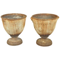 Pair of 19th Century French Jardinieres
