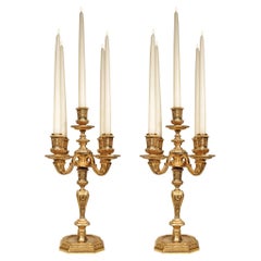 Antique Pair of 19th Century French Louis XIV St. Ormolu Candelabras