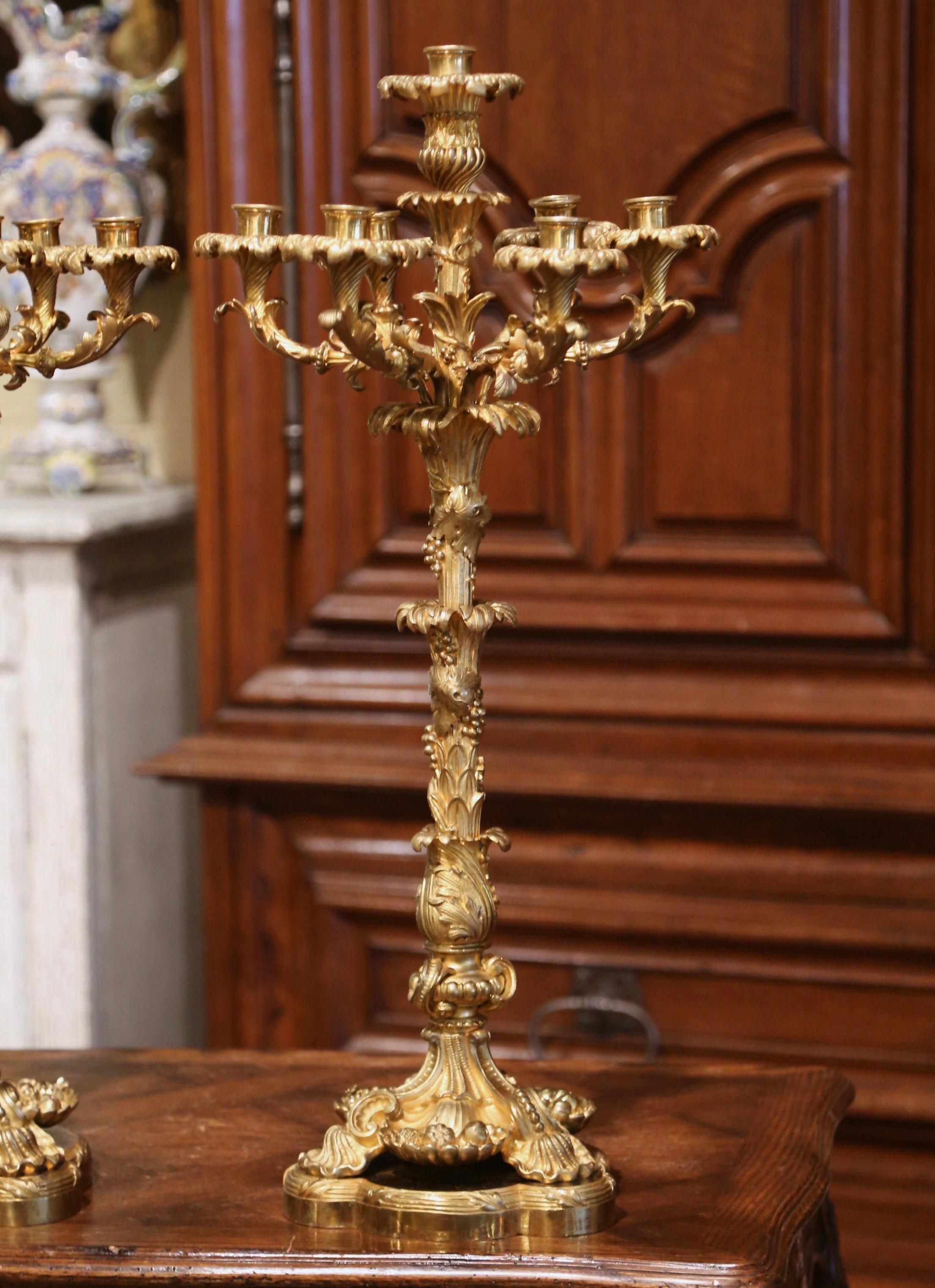 Pair of 19th Century French Louis XV Bronze Dore Seven-Light Candelabras 3
