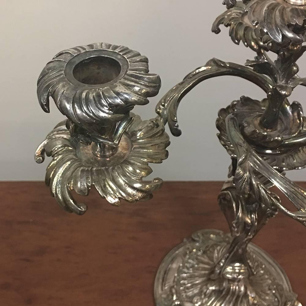 Rococo Pair of 19th Century French Louis XV Bronze Silvered Bronze Candelabra For Sale