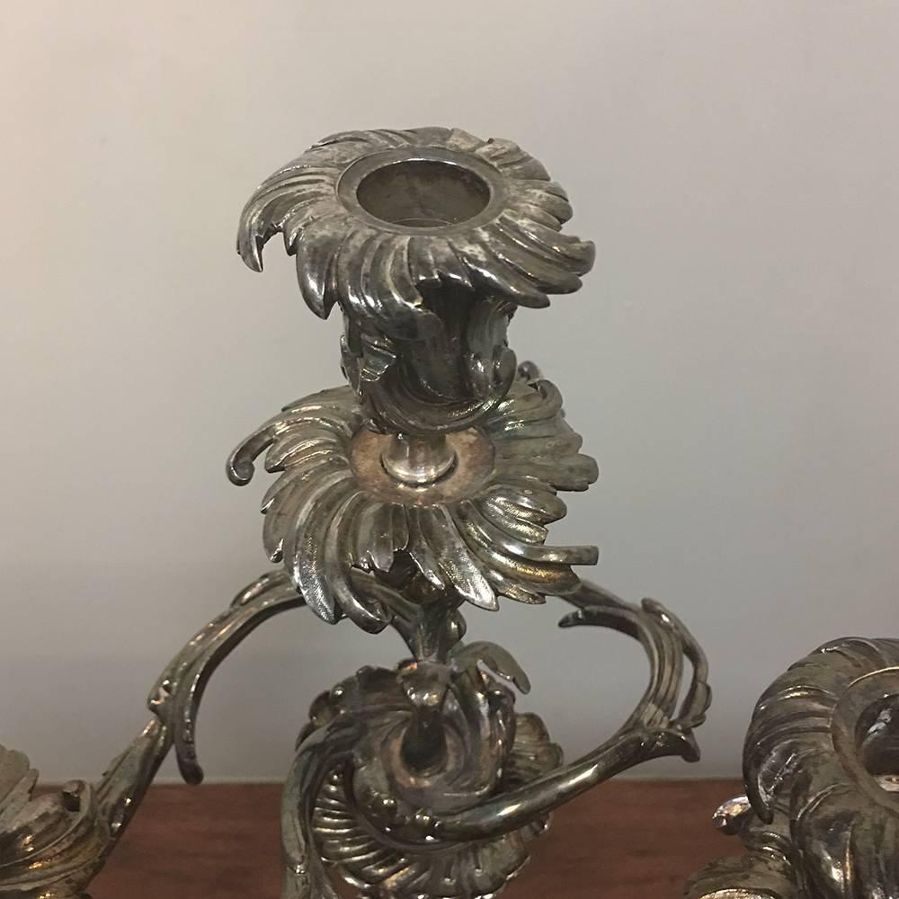 Pair of 19th Century French Louis XV Bronze Silvered Bronze Candelabra In Good Condition For Sale In Dallas, TX