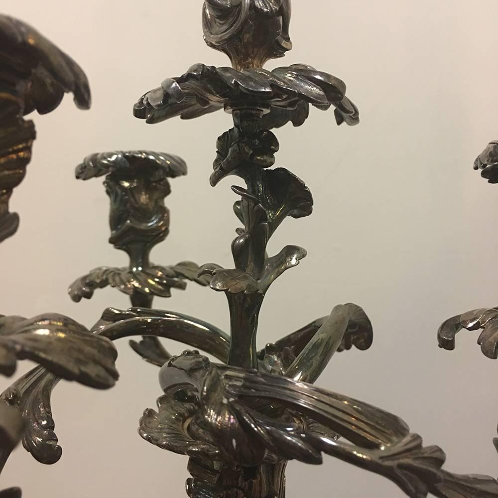 Pair of 19th Century French Louis XV Bronze Silvered Bronze Candelabra For Sale 3