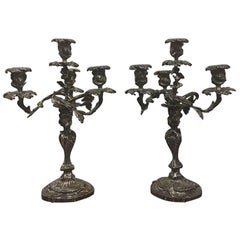 Pair of 19th Century French Louis XV Bronze Silvered Bronze Candelabra