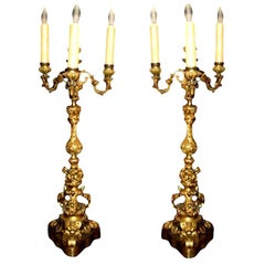 Pair of 19th Century French Louis XV Style Gilt Bronze Candelabra