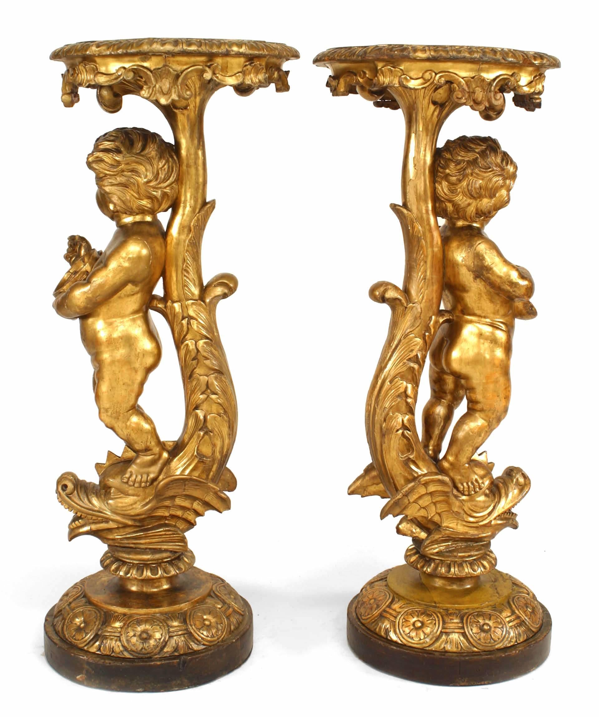 Paar vergoldete Cherub-Sockel aus der Zeit Ludwigs XV. (Louis XV.) im Angebot