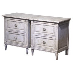 Pair of 19th Century French Louis XVI Hand Painted Two-Drawer Chests Nightstands