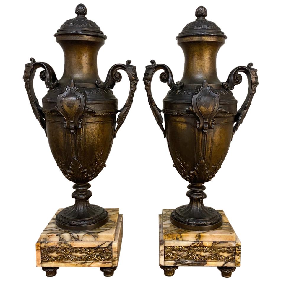 Pair of 19th Century French Louis XVI Mantel Urns on Marble Bases For Sale