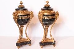 Pair of 19th Century French Louis XVI Marble and Gilt Bronze Urns