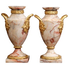 Pair of 19th Century French Marble and Bronze Dore Cassolettes Vases
