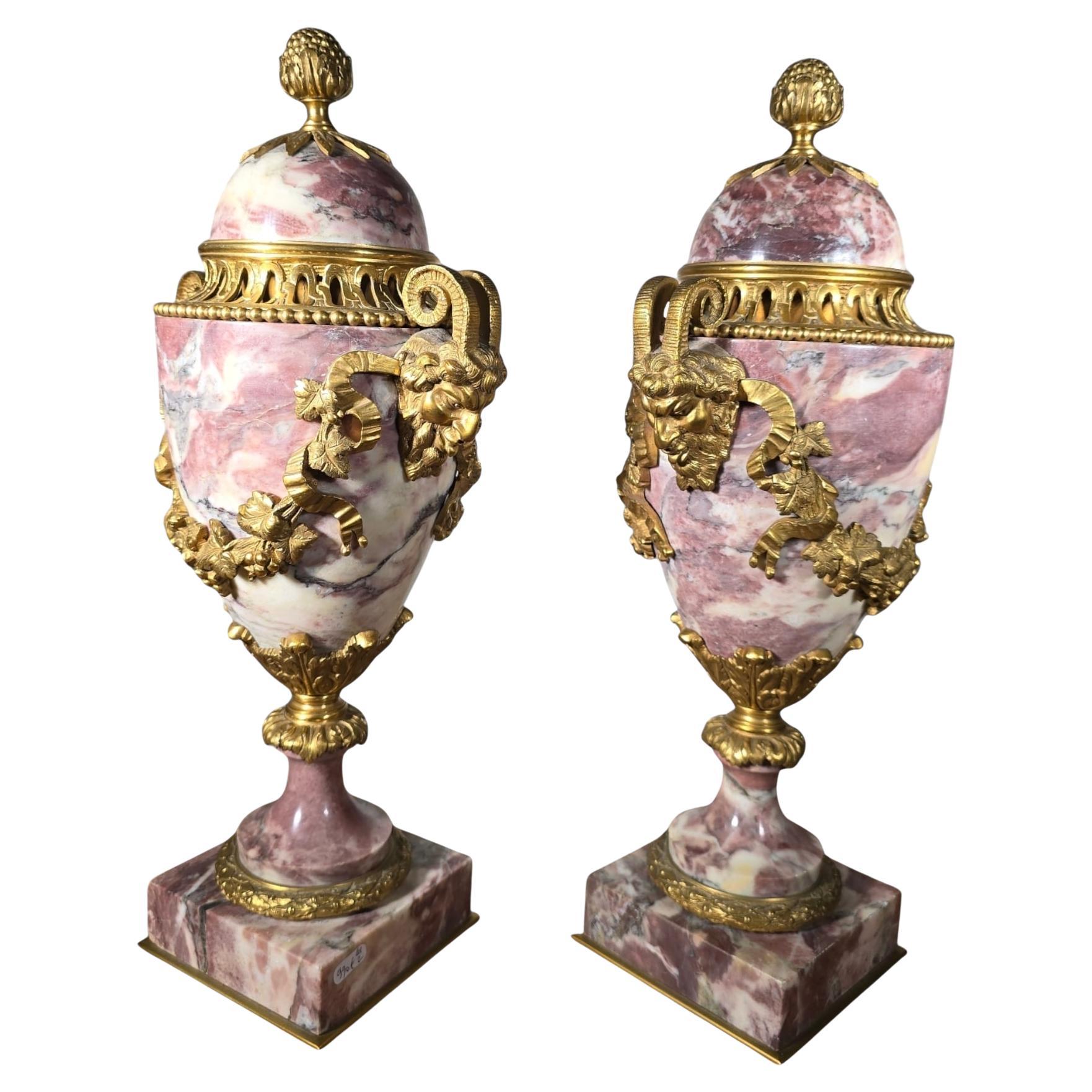Coppia di vasi francesi del XIX secolo in marmo e bronzo dorato