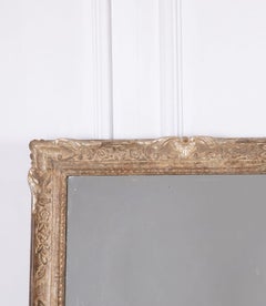 Coppia di specchi francesi del XIX secolo