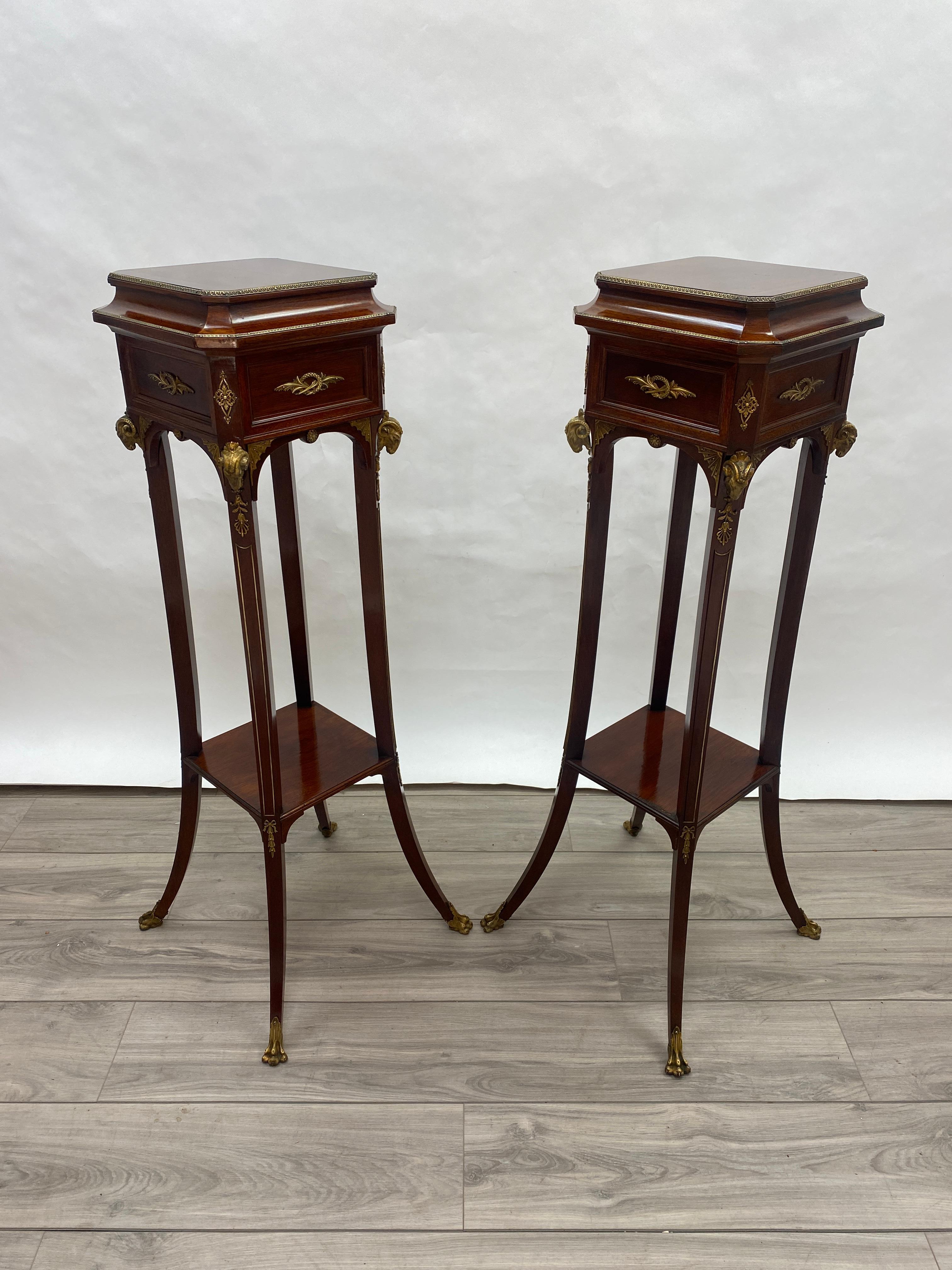 Pair of 19th Century French Napoleon III Pedestals/ Plant Stands 7