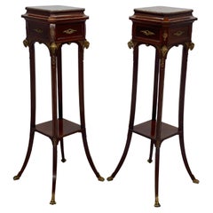 Pair of 19th Century French Napoleon III Pedestals/ Plant Stands
