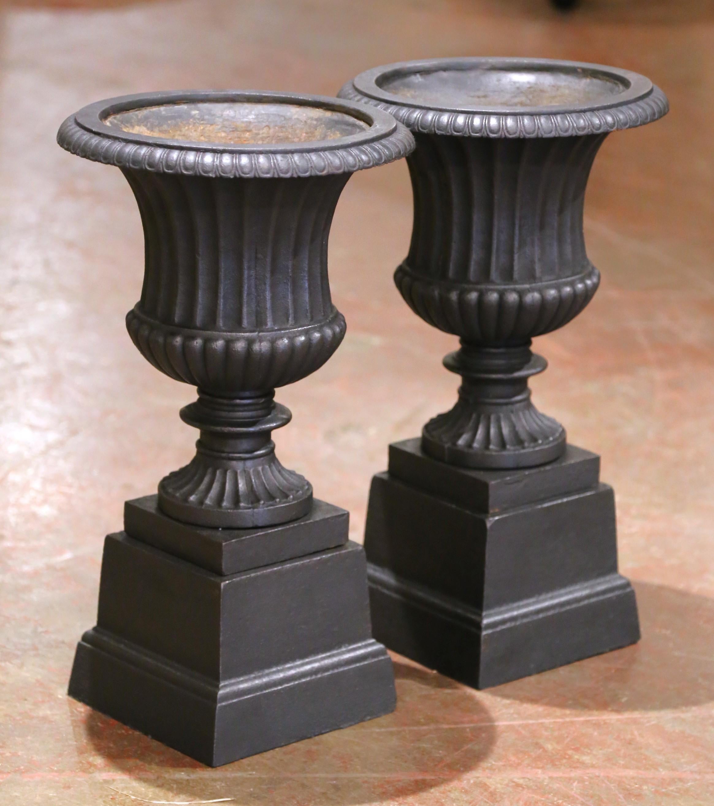 Coppia di urne da giardino francesi in ghisa su basi separate, realizzate nel 1870 circa in stile neoclassico. Ogni urna presenta un'elegante forma a campana con corpo scanalato, bordo a uovo e dardo e socle lobata che poggia su un piede quadrato.